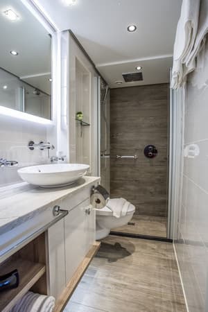 Riviera Travel Thomas Hardy Accommodation Lower Deck Suite Bathroom 1.jpg
